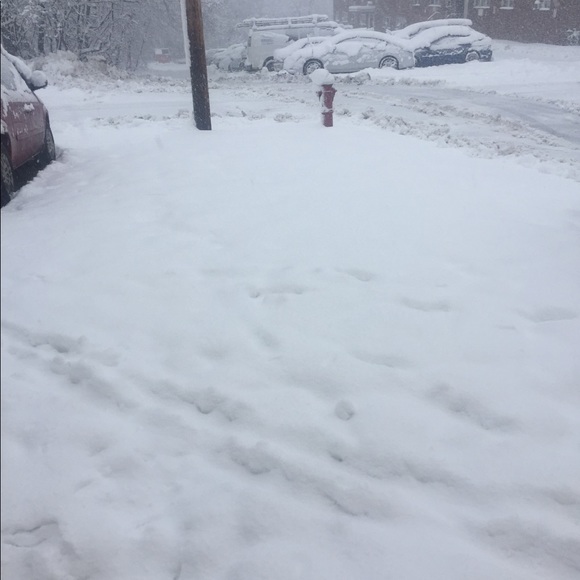 Meet your Posher, Dianne - Picture 2 of 3